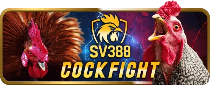 Cá cược bóng đá tại vipvin